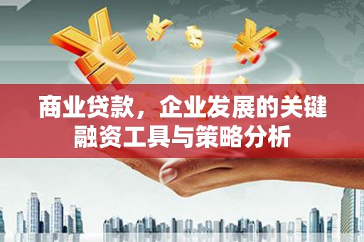 琉球商业贷款，企业发展的关键融资工具与策略分析