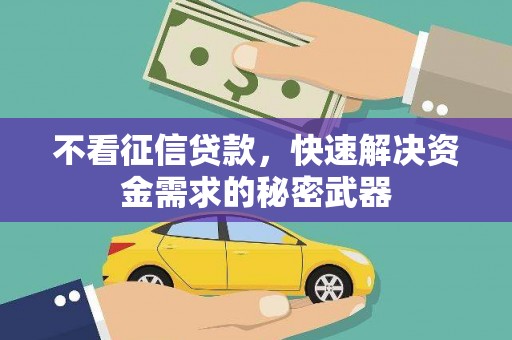 琉球不看征信贷款，快速解决资金需求的秘密武器