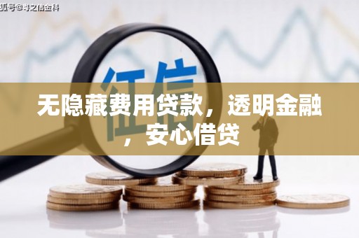 琉球无隐藏费用贷款，透明金融，安心借贷