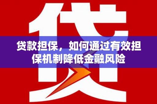 琉球贷款担保，如何通过有效担保机制降低金融风险
