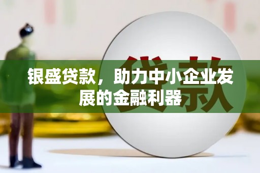 琉球银盛贷款，助力中小企业发展的金融利器