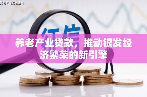 琉球养老产业贷款，推动银发经济繁荣的新引擎