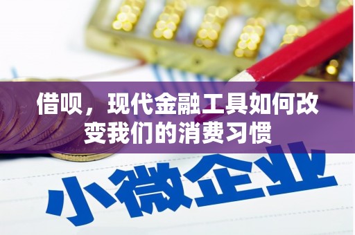 琉球借呗，现代金融工具如何改变我们的消费习惯