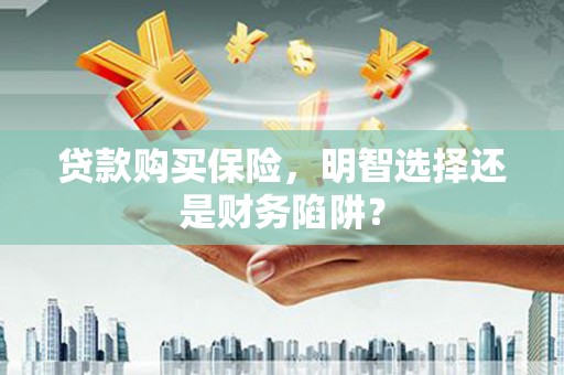 琉球贷款购买保险，明智选择还是财务陷阱？
