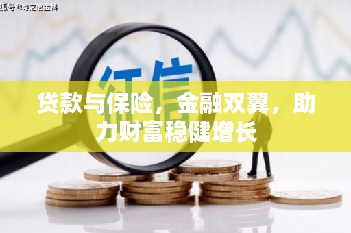 琉球贷款与保险，金融双翼，助力财富稳健增长