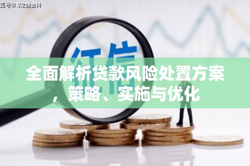 琉球全面解析贷款风险处置方案，策略、实施与优化