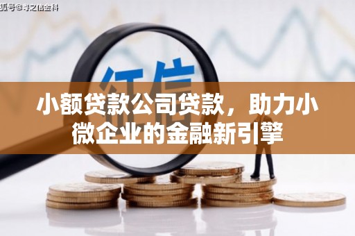 琉球小额贷款公司贷款，助力小微企业的金融新引擎