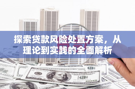 琉球探索贷款风险处置方案，从理论到实践的全面解析