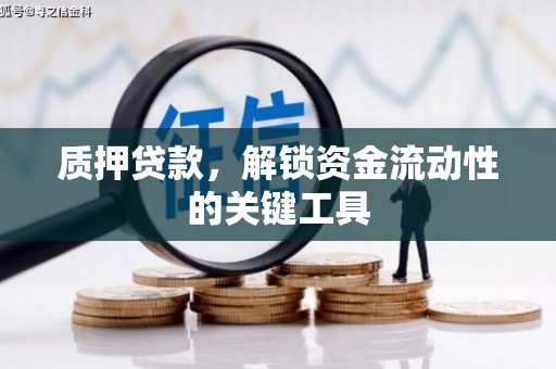琉球质押贷款，解锁资金流动性的关键工具