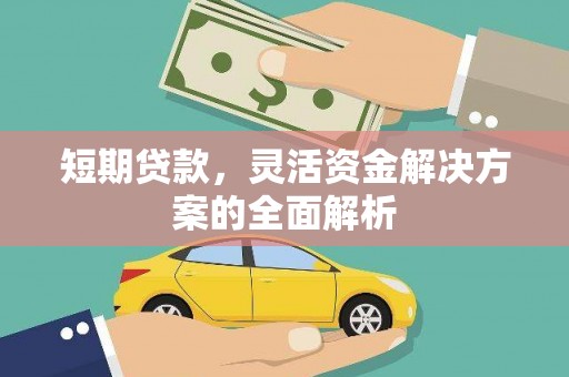 琉球短期贷款，灵活资金解决方案的全面解析