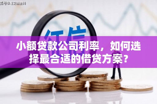 琉球小额贷款公司利率，如何选择最合适的借贷方案？