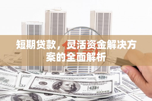 琉球短期贷款，灵活资金解决方案的全面解析