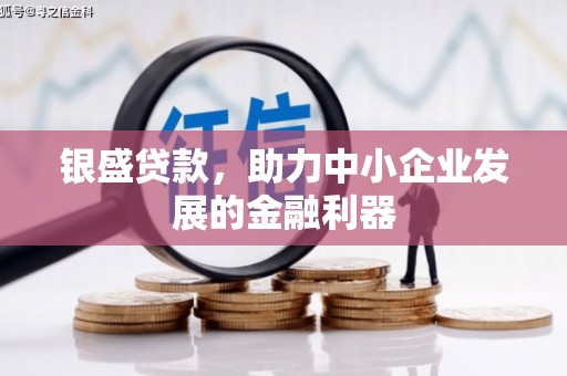 琉球银盛贷款，助力中小企业发展的金融利器