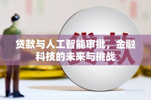 琉球贷款与人工智能审批，金融科技的未来与挑战