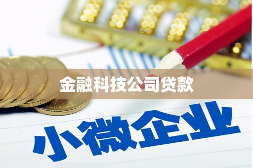 琉球金融科技公司贷款