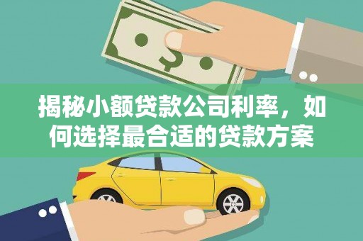 琉球揭秘小额贷款公司利率，如何选择最合适的贷款方案