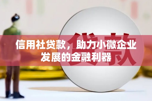 琉球信用社贷款，助力小微企业发展的金融利器