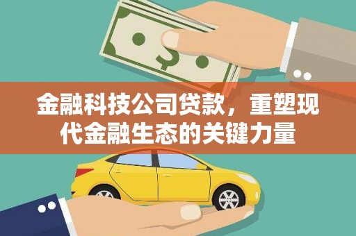 琉球金融科技公司贷款，重塑现代金融生态的关键力量