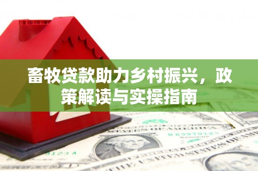 琉球畜牧贷款助力乡村振兴，政策解读与实操指南