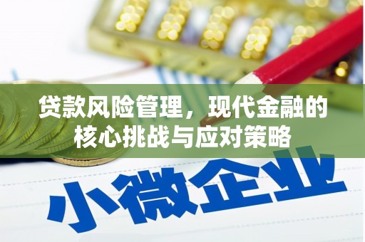 琉球贷款风险管理，现代金融的核心挑战与应对策略