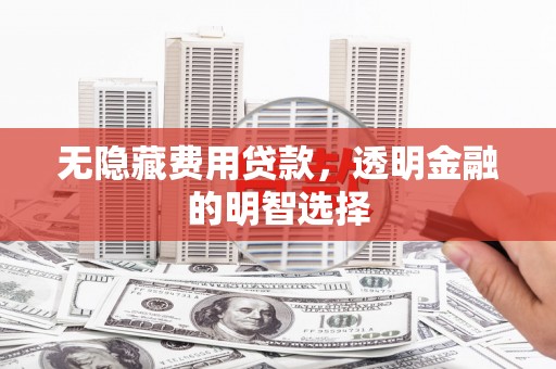 琉球无隐藏费用贷款，透明金融的明智选择