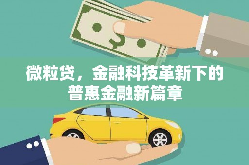 琉球微粒贷，金融科技革新下的普惠金融新篇章