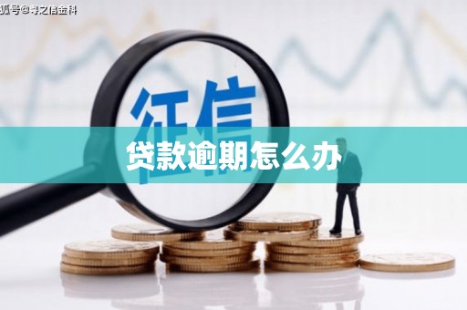 琉球贷款逾期怎么办