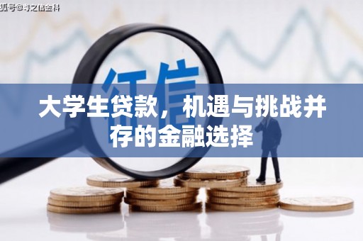 琉球大学生贷款，机遇与挑战并存的金融选择