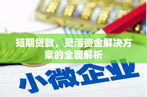 琉球短期贷款，灵活资金解决方案的全面解析
