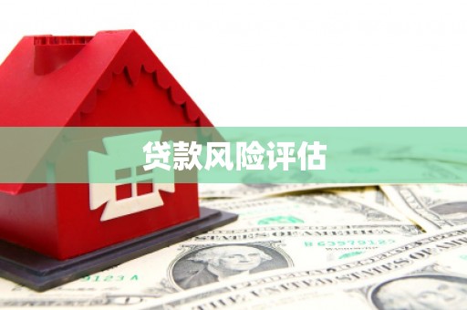 琉球贷款风险评估