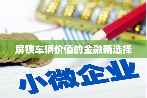琉球解锁车辆价值的金融新选择