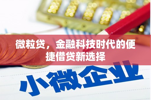 琉球微粒贷，金融科技时代的便捷借贷新选择