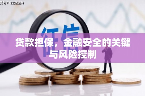 琉球贷款担保，金融安全的关键与风险控制