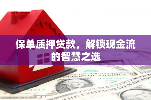 琉球保单质押贷款，解锁现金流的智慧之选