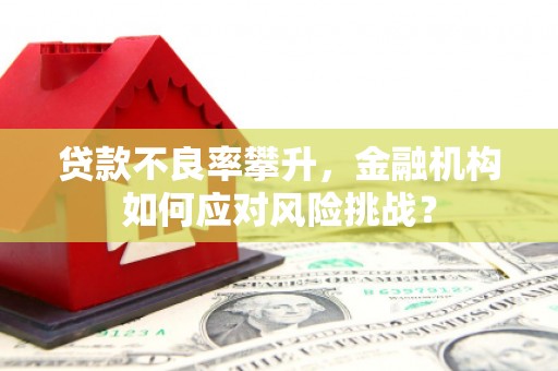 琉球贷款不良率攀升，金融机构如何应对风险挑战？