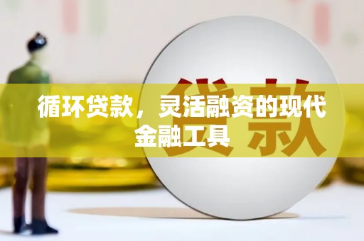 琉球循环贷款，灵活融资的现代金融工具