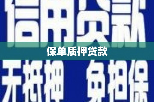 琉球保单质押贷款