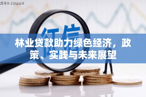 琉球林业贷款助力绿色经济，政策、实践与未来展望
