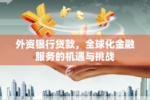 琉球外资银行贷款，全球化金融服务的机遇与挑战