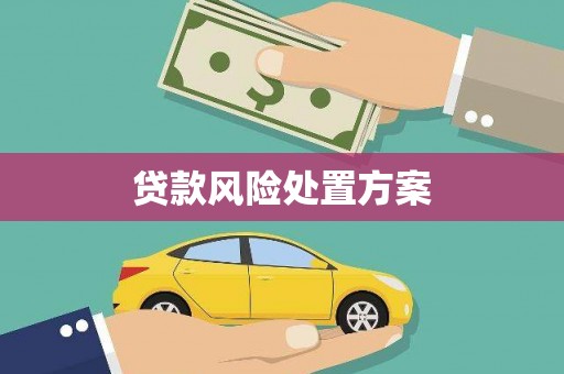 琉球贷款风险处置方案