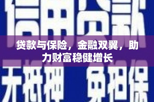 琉球贷款与保险，金融双翼，助力财富稳健增长