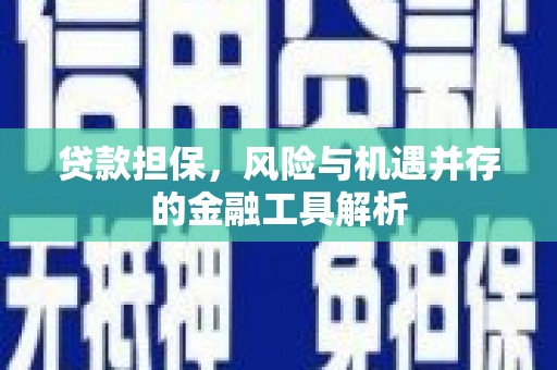 琉球贷款担保，风险与机遇并存的金融工具解析