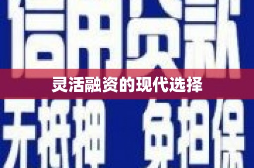 琉球灵活融资的现代选择
