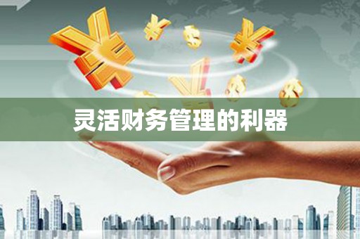 琉球灵活财务管理的利器