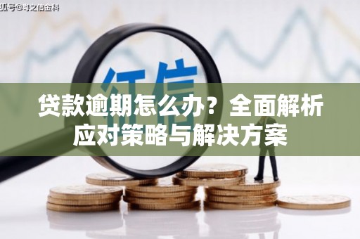 琉球贷款逾期怎么办？全面解析应对策略与解决方案
