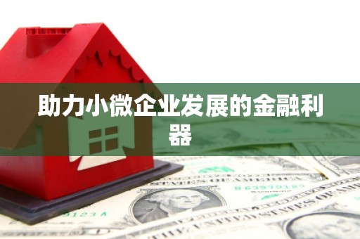 琉球助力小微企业发展的金融利器