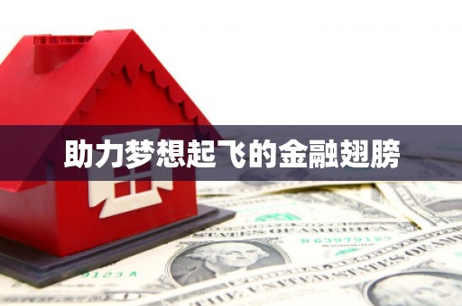 琉球助力梦想起飞的金融翅膀