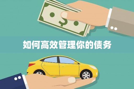 琉球如何高效管理你的债务