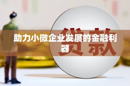 琉球助力小微企业发展的金融利器
