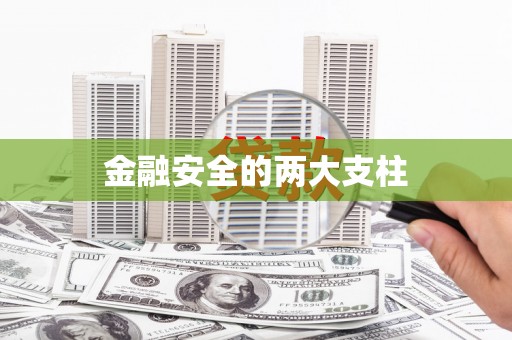 琉球金融安全的两大支柱